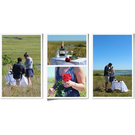 11 x 17" - 4 Photos